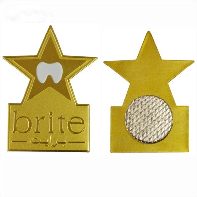 Custom etched logo pins in Brass