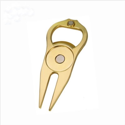 Magnetic divot tool